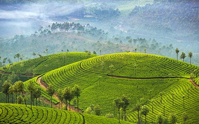 munnar